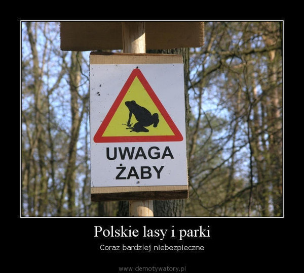 Polskie lasy i parki