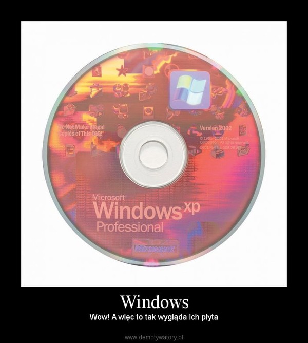 Windows – Wow! A więc to tak wygląda ich płyta 