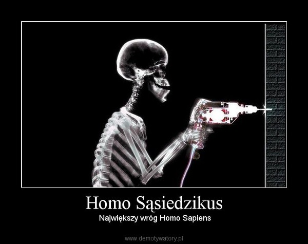 Homo Sąsiedzikus – Największy wróg Homo Sapiens 