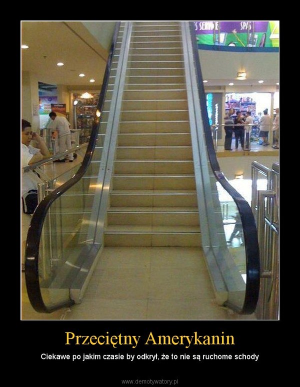 Przeciętny Amerykanin – Ciekawe po jakim czasie by odkrył, że to nie są ruchome schody 