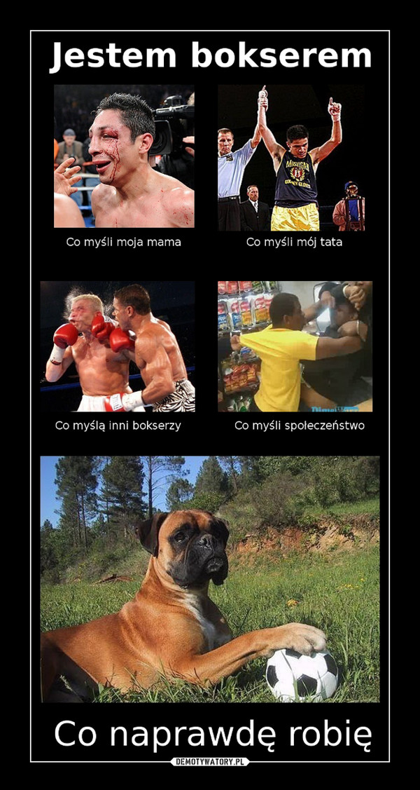 Życie boksera –  