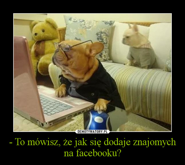 - To mówisz, że jak się dodaje znajomych na facebooku? –  