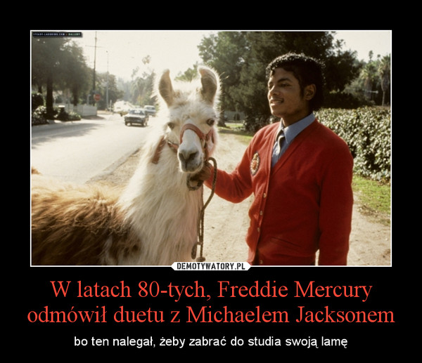 W latach 80-tych, Freddie Mercury odmówił duetu z Michaelem Jacksonem – bo ten nalegał, żeby zabrać do studia swoją lamę 