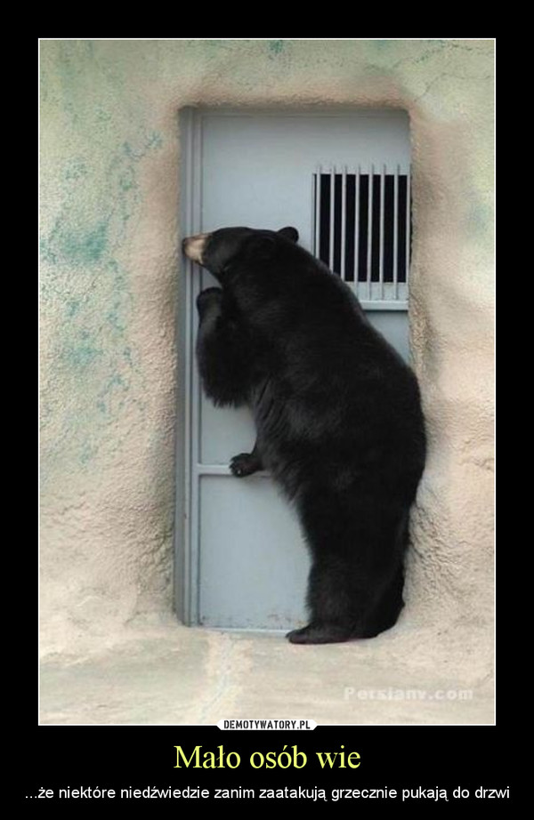 Mało osób wie – ...że niektóre niedźwiedzie zanim zaatakują grzecznie pukają do drzwi 