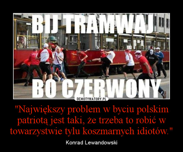 "Największy problem w byciu polskim patriotą jest taki, że trzeba to robić w towarzystwie tylu koszmarnych idiotów." – Konrad Lewandowski 