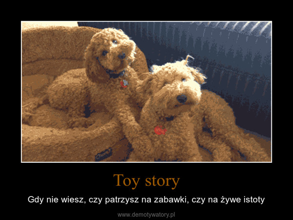 Toy story – Gdy nie wiesz, czy patrzysz na zabawki, czy na żywe istoty 
