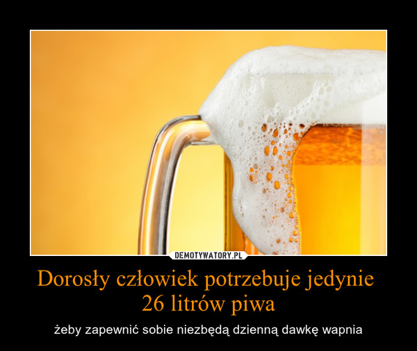 Dorosły człowiek potrzebuje jedynie 26 litrów piwa – żeby zapewnić sobie niezbędą dzienną dawkę wapnia 