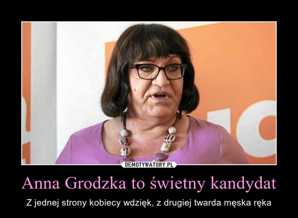 Anna Grodzka to świetny kandydat