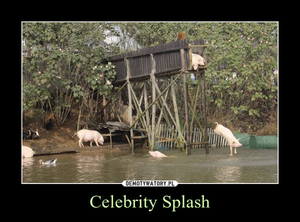 Celebrity Splash –  