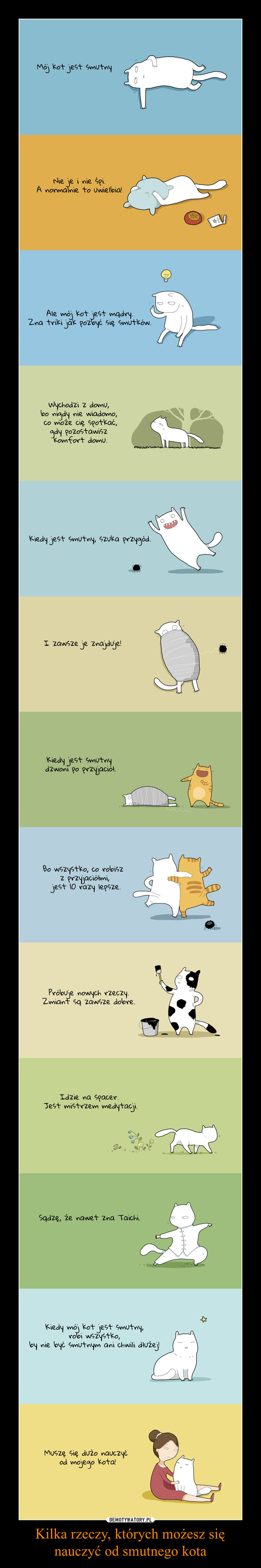 Kilka rzeczy, których możesz się nauczyć od smutnego kota –  