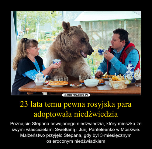 23 lata temu pewna rosyjska para adoptowała niedźwiedzia