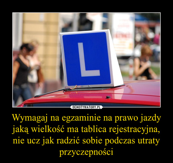 Wymagaj na egzaminie na prawo jazdy jaką wielkość ma tablica rejestracyjna, nie ucz jak radzić sobie podczas utraty przyczepności –  