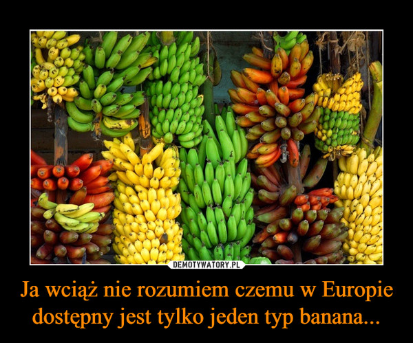 Ja wciąż nie rozumiem czemu w Europie dostępny jest tylko jeden typ banana... –  