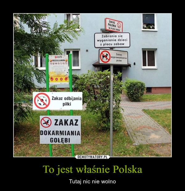 To jest właśnie Polska – Tutaj nic nie wolno ZAKAZ PALENIAZabrania się wyganiania dzieci z placu zabawZakaz wyprowadzania psówREGULAMINZakaz odbijania piłkiZAKAZ DOKARMIANA GOŁĘBI