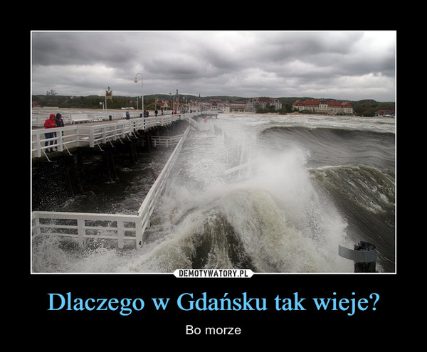 Dlaczego w Gdańsku tak wieje? – Bo morze 