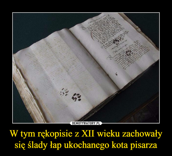 W tym rękopisie z XII wieku zachowały się ślady łap ukochanego kota pisarza –  