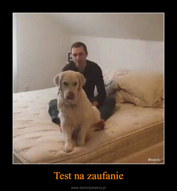 Test na zaufanie –  
