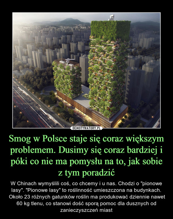 Smog w Polsce staje się coraz większym problemem. Dusimy się coraz bardziej i póki co nie ma pomysłu na to, jak sobie z tym poradzić