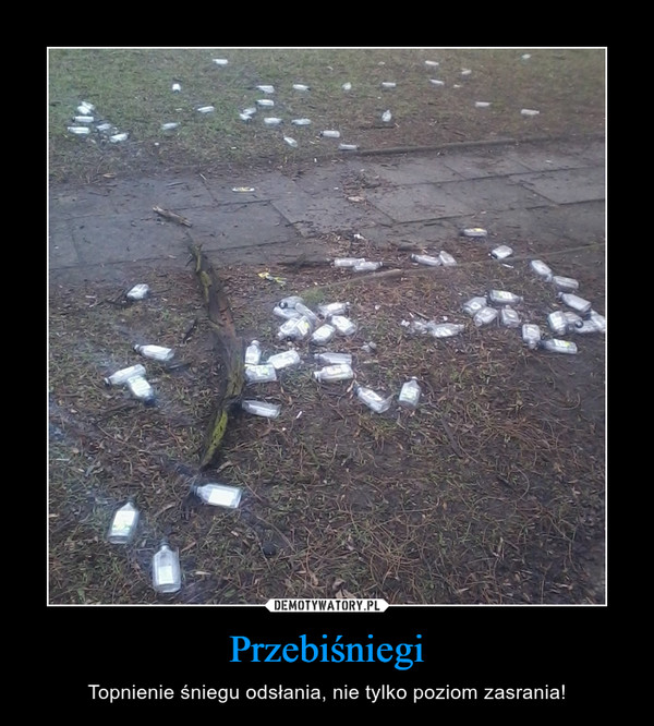 Przebiśniegi – Topnienie śniegu odsłania, nie tylko poziom zasrania! 