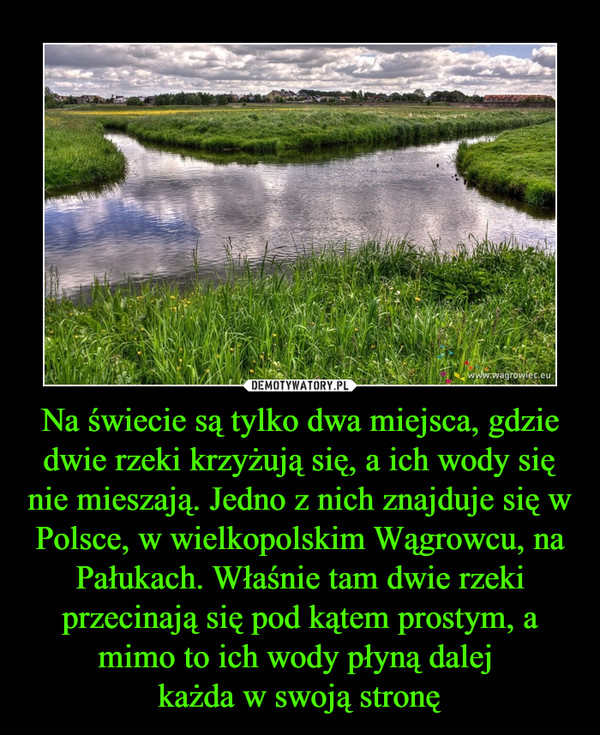 Na świecie są tylko dwa miejsca, gdzie dwie rzeki krzyżują się, a ich wody się nie mieszają. Jedno z nich znajduje się w Polsce, w wielkopolskim Wągrowcu, na Pałukach. Właśnie tam dwie rzeki przecinają się pod kątem prostym, a mimo to ich wody płyną dalej –  
