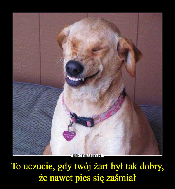 To uczucie, gdy twój żart był tak dobry, że nawet pies się zaśmiał –  