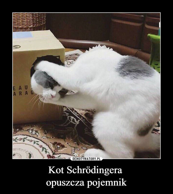 Kot Schrödingera 
opuszcza pojemnik