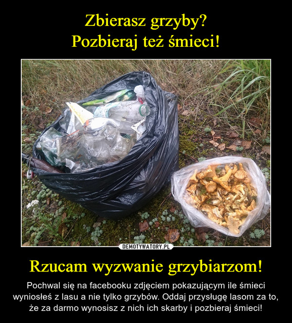 Rzucam wyzwanie grzybiarzom! – Pochwal się na facebooku zdjęciem pokazującym ile śmieci wyniosłeś z lasu a nie tylko grzybów. Oddaj przysługę lasom za to, że za darmo wynosisz z nich ich skarby i pozbieraj śmieci! 