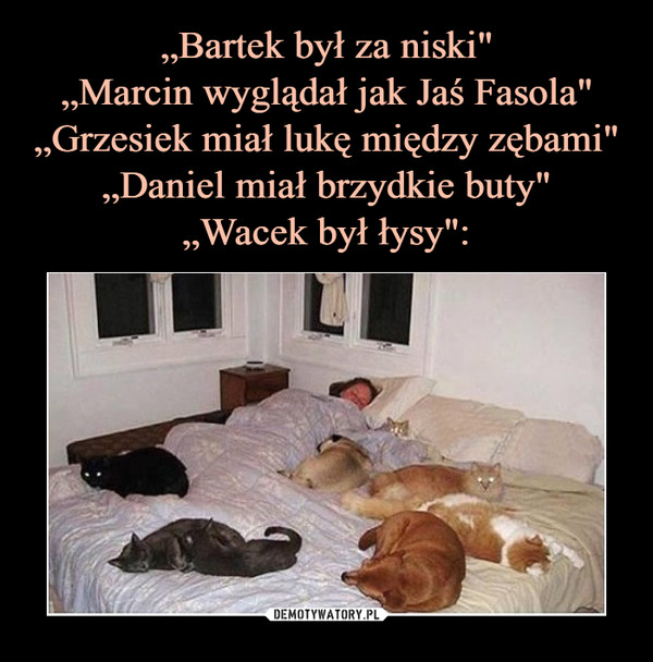 „Bartek był za niski"
„Marcin wyglądał jak Jaś Fasola"
„Grzesiek miał lukę między zębami"
„Daniel miał brzydkie buty"
„Wacek był łysy":