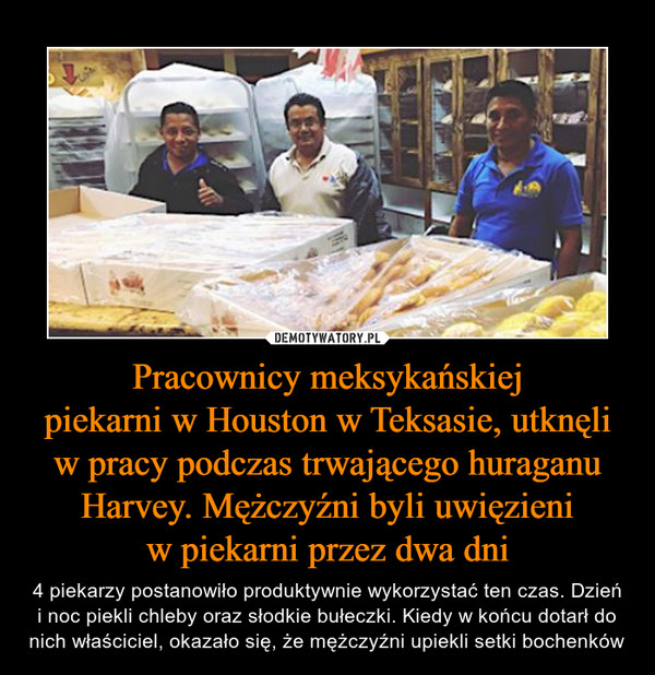 Pracownicy meksykańskiejpiekarni w Houston w Teksasie, utknęli w pracy podczas trwającego huraganu Harvey. Mężczyźni byli uwięzieniw piekarni przez dwa dni – 4 piekarzy postanowiło produktywnie wykorzystać ten czas. Dzień i noc piekli chleby oraz słodkie bułeczki. Kiedy w końcu dotarł do nich właściciel, okazało się, że mężczyźni upiekli setki bochenków 