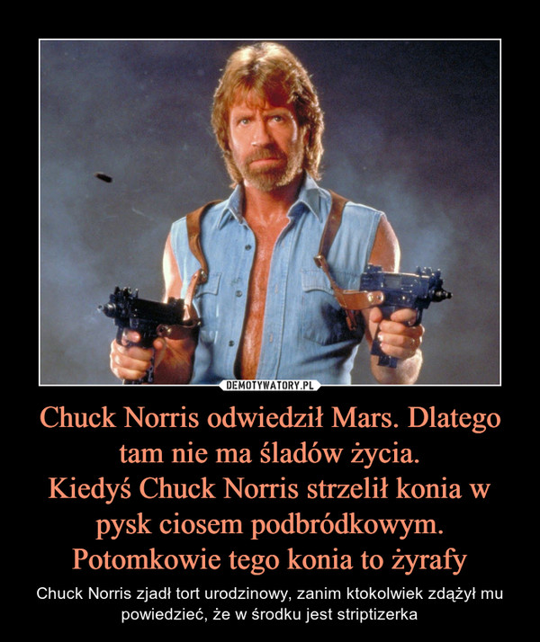 Chuck Norris odwiedził Mars. Dlatego tam nie ma śladów życia.Kiedyś Chuck Norris strzelił konia w pysk ciosem podbródkowym. Potomkowie tego konia to żyrafy – Chuck Norris zjadł tort urodzinowy, zanim ktokolwiek zdążył mu powiedzieć, że w środku jest striptizerka 