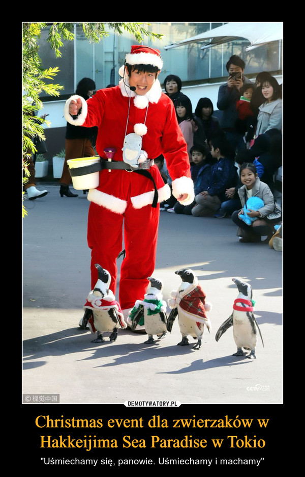 Christmas event dla zwierzaków w Hakkeijima Sea Paradise w Tokio – "Uśmiechamy się, panowie. Uśmiechamy i machamy" 