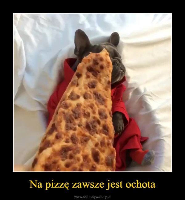 Na pizzę zawsze jest ochota –  