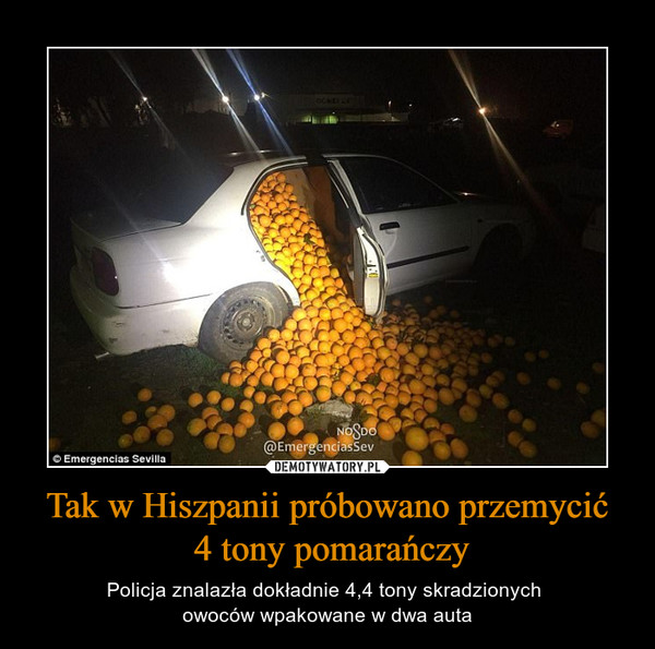Tak w Hiszpanii próbowano przemycić 4 tony pomarańczy – Policja znalazła dokładnie 4,4 tony skradzionych owoców wpakowane w dwa auta 