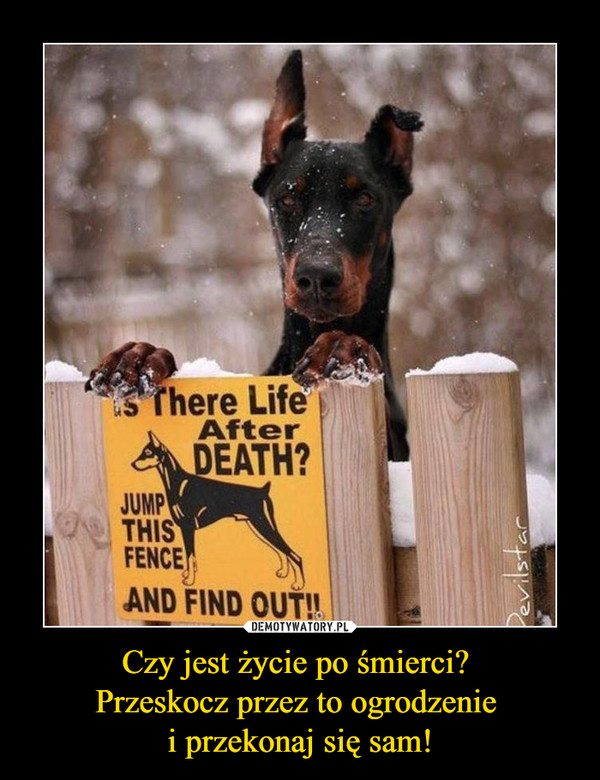 Czy jest życie po śmierci? Przeskocz przez to ogrodzenie i przekonaj się sam! –  There Life After DEATH?JUMP THIS FENCE AND FIND OUT!