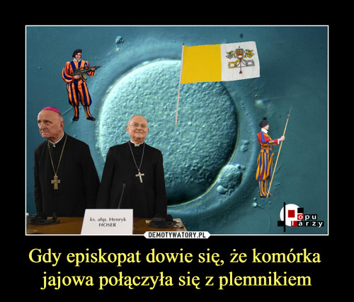 Gdy episkopat dowie się, że komórka 
jajowa połączyła się z plemnikiem