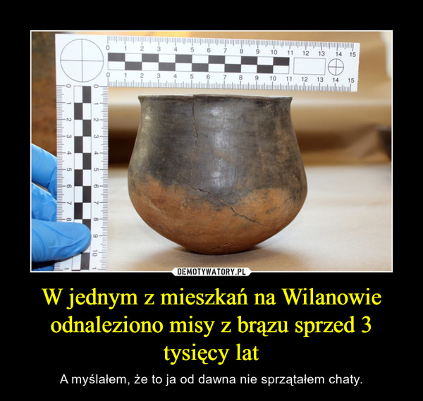 W jednym z mieszkań na Wilanowie odnaleziono misy z brązu sprzed 3 tysięcy lat