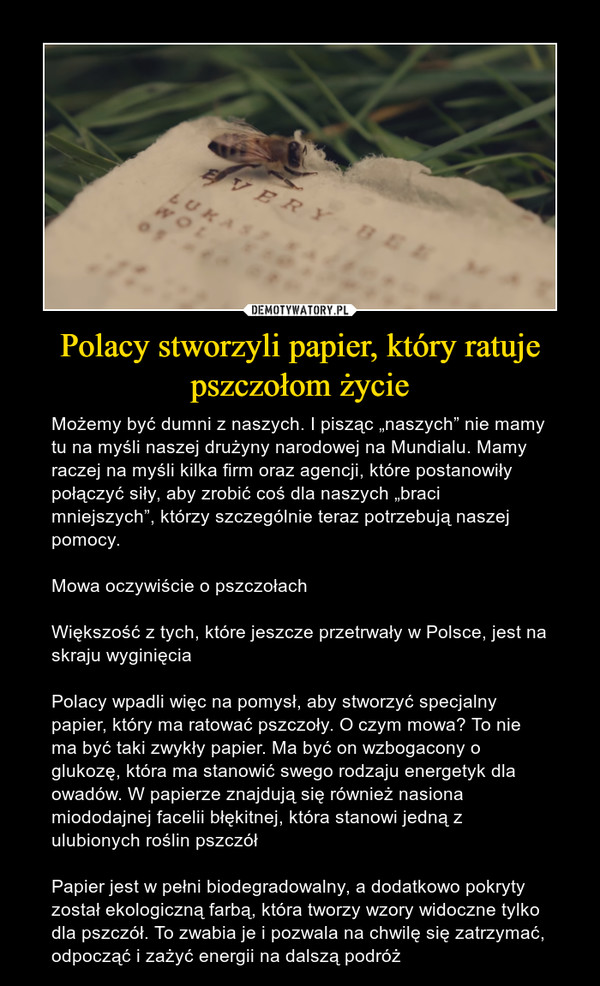 Polacy stworzyli papier, który ratuje pszczołom życie