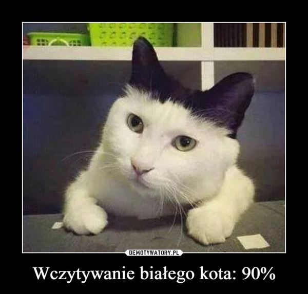 Wczytywanie białego kota: 90%