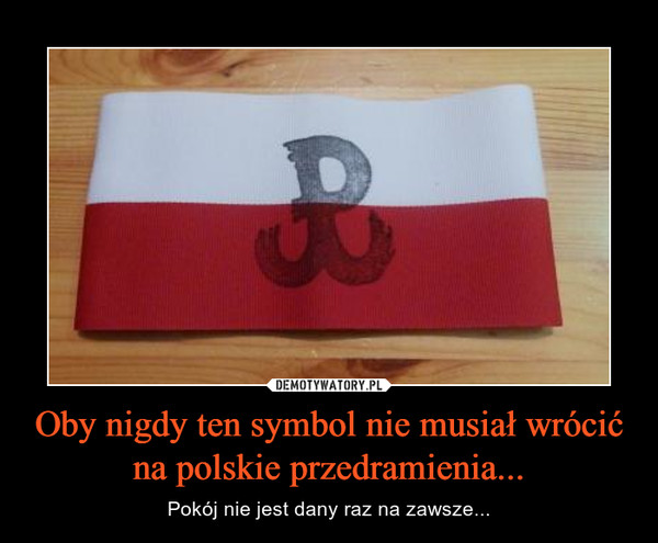 Oby nigdy ten symbol nie musiał wrócić na polskie przedramienia... – Pokój nie jest dany raz na zawsze... 