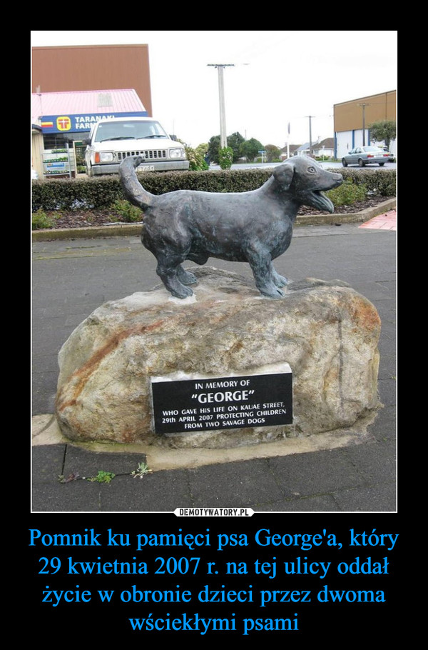 Pomnik ku pamięci psa George'a, który 29 kwietnia 2007 r. na tej ulicy oddał życie w obronie dzieci przez dwoma wściekłymi psami –  
