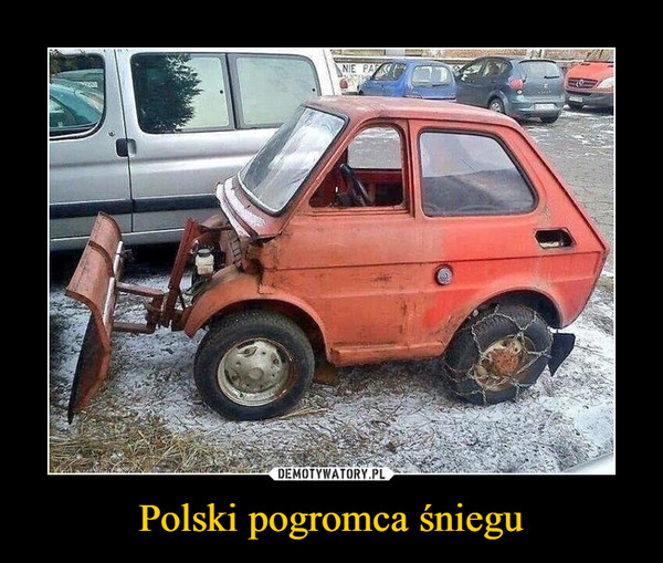 Polski pogromca śniegu
