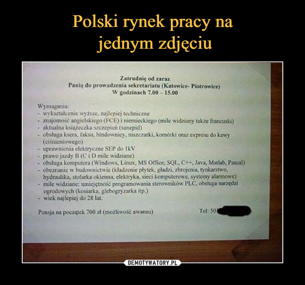Polski rynek pracy na
 jednym zdjęciu