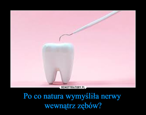 Po co natura wymyśliła nerwy wewnątrz zębów? –  
