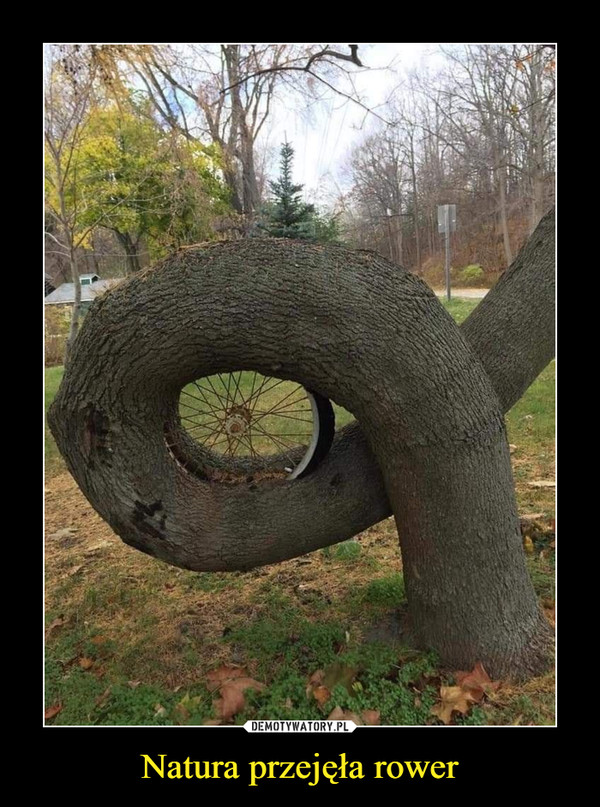 Natura przejęła rower –  