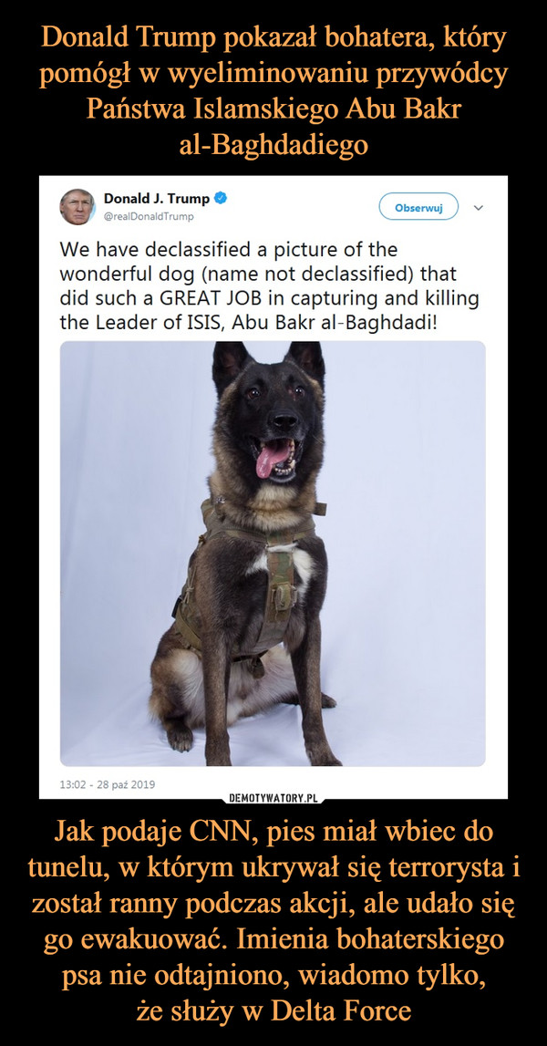 Jak podaje CNN, pies miał wbiec do tunelu, w którym ukrywał się terrorysta i został ranny podczas akcji, ale udało się go ewakuować. Imienia bohaterskiego psa nie odtajniono, wiadomo tylko,że służy w Delta Force –  