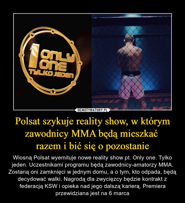 Polsat szykuje reality show, w którym zawodnicy MMA będą mieszkać 
razem i bić się o pozostanie