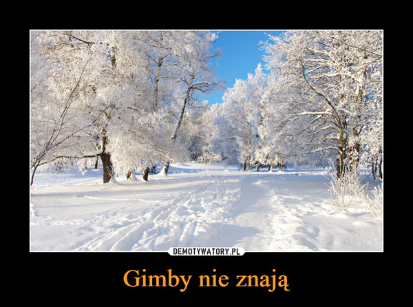 Gimby nie znają –  