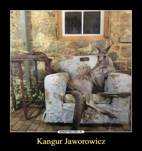 Kangur Jaworowicz –  