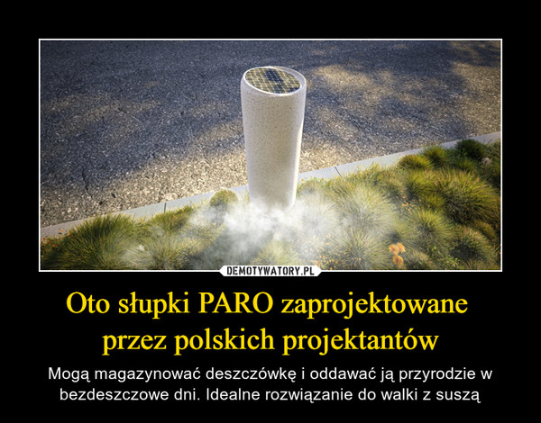 Oto słupki PARO zaprojektowane przez polskich projektantów – Mogą magazynować deszczówkę i oddawać ją przyrodzie w bezdeszczowe dni. Idealne rozwiązanie do walki z suszą 