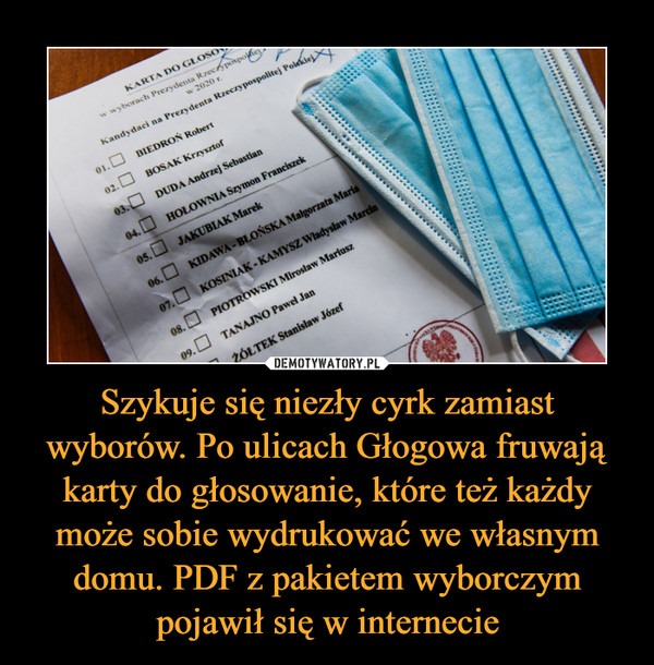 Szykuje się niezły cyrk zamiast wyborów. Po ulicach Głogowa fruwają karty do głosowanie, które też każdy może sobie wydrukować we własnym domu. PDF z pakietem wyborczym pojawił się w internecie –  